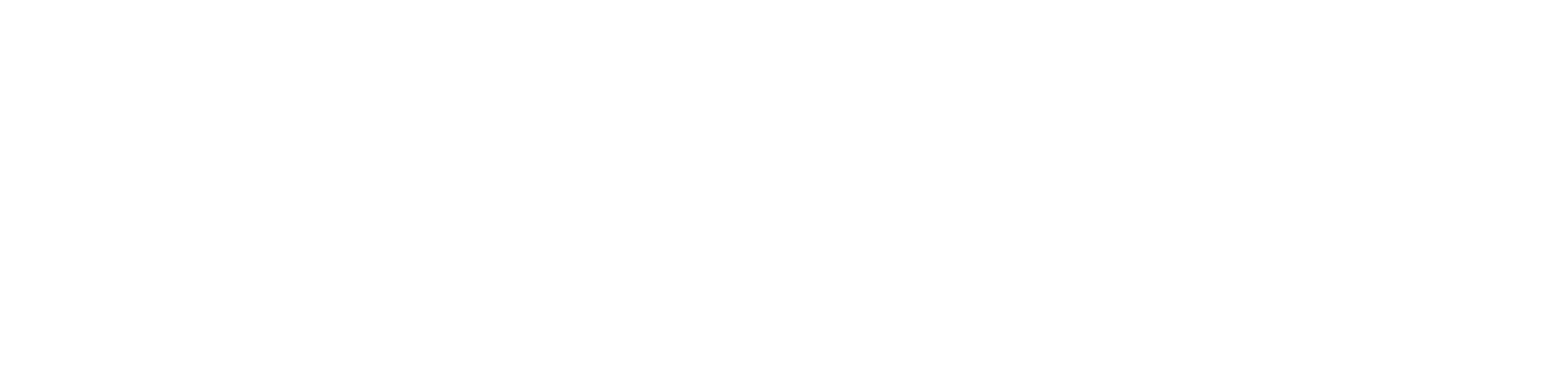 NovariumOne – Digital Agency